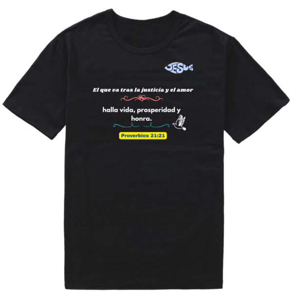 Suéter o T-Shirt de Mensajes Bíblicos Proverbios 21:21